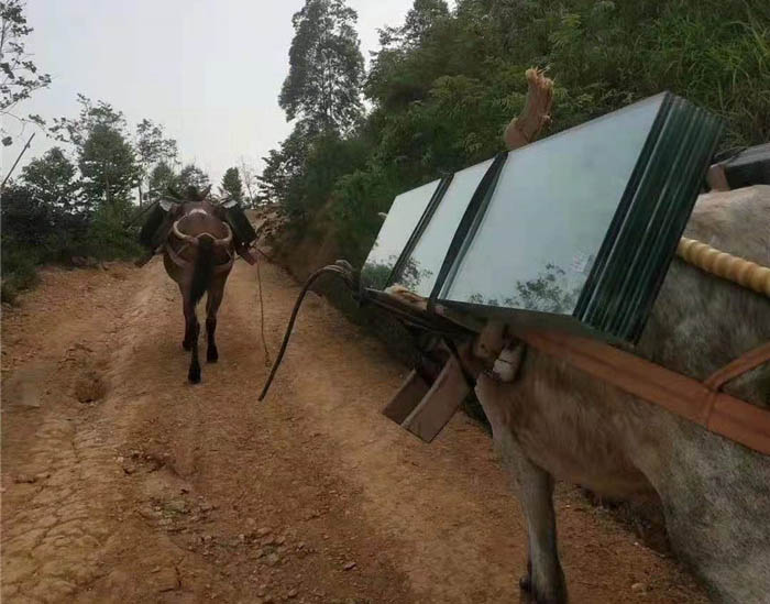 永登县马帮运输工程队